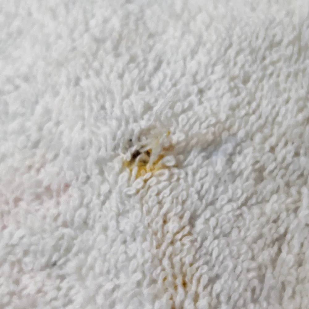 Sears Yellow and White Floral Bath Towels